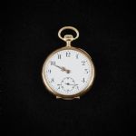 681779 Pocket watch